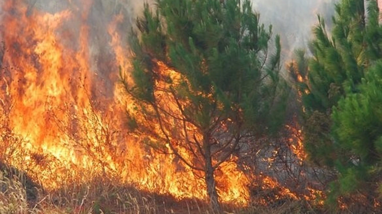 Shuhet zjarri në Kavadar, zjarrfikësit mbeten në terren
