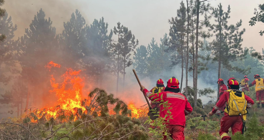 Situata e zjarreve në vend/ Janë raportuar 14 vatra zjarri, ku 5 mbeten aktive
