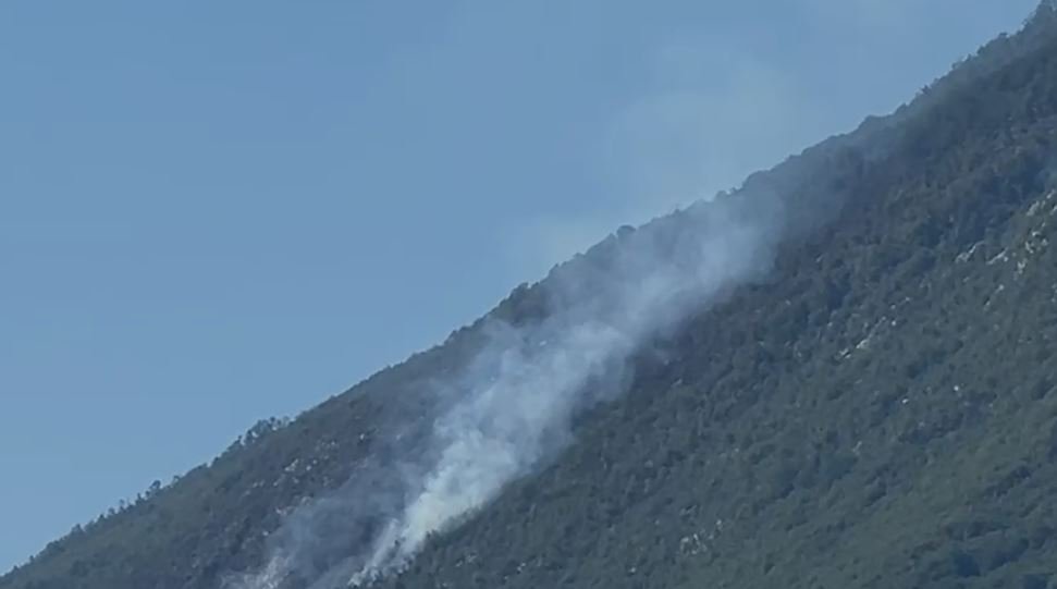 Zjarri në Qafë Mollë të Tiranës vijon prej 10 ditësh/ Shkrumbohen 8 hektarë pyje