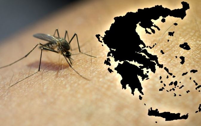 Rriten rastet me virusin e Nilit Perëndimor në Greqi/ 6 viktima dhe dhjetëra të shtruar në spital
