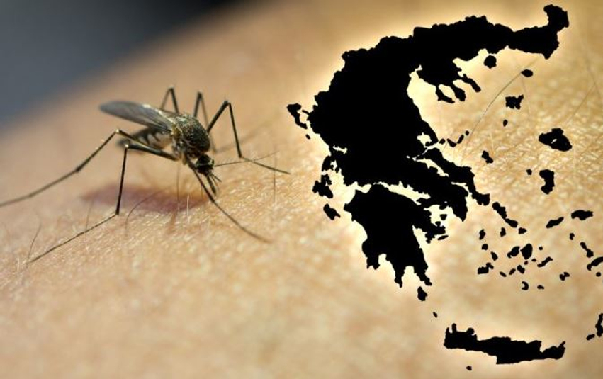 Rriten rastet me virusin e Nilit Perëndimor në Greqi/ 6 viktima dhe