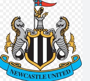 Newcastle është e gatshme t’i investojë 100 milionë funte në një nënshkrim të ri