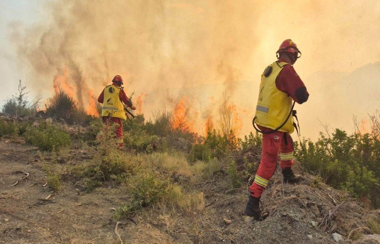 30 vatra zjarri në 24 orë në Shqipëri, 8 vijojnë aktive