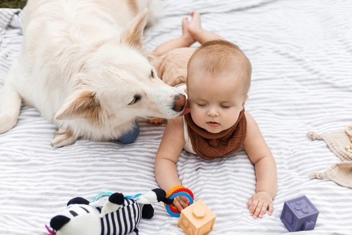Keni qen në shtëpi dhe foshnjë? Ja si mund të mbrojnë mikrobet shëndetin e bebes