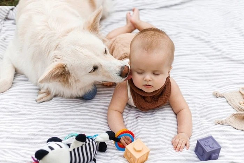 Keni qen në shtëpi dhe foshnjë  Ja si mund të mbrojnë mikrobet shëndetin e bebes