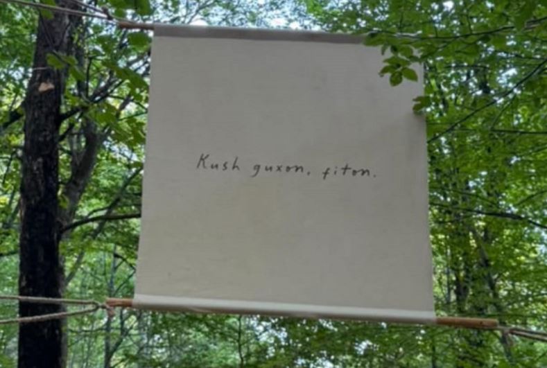 “Kush guxon, fiton”, mesazhe pozitive mes gjelbërimit të Gërmisë