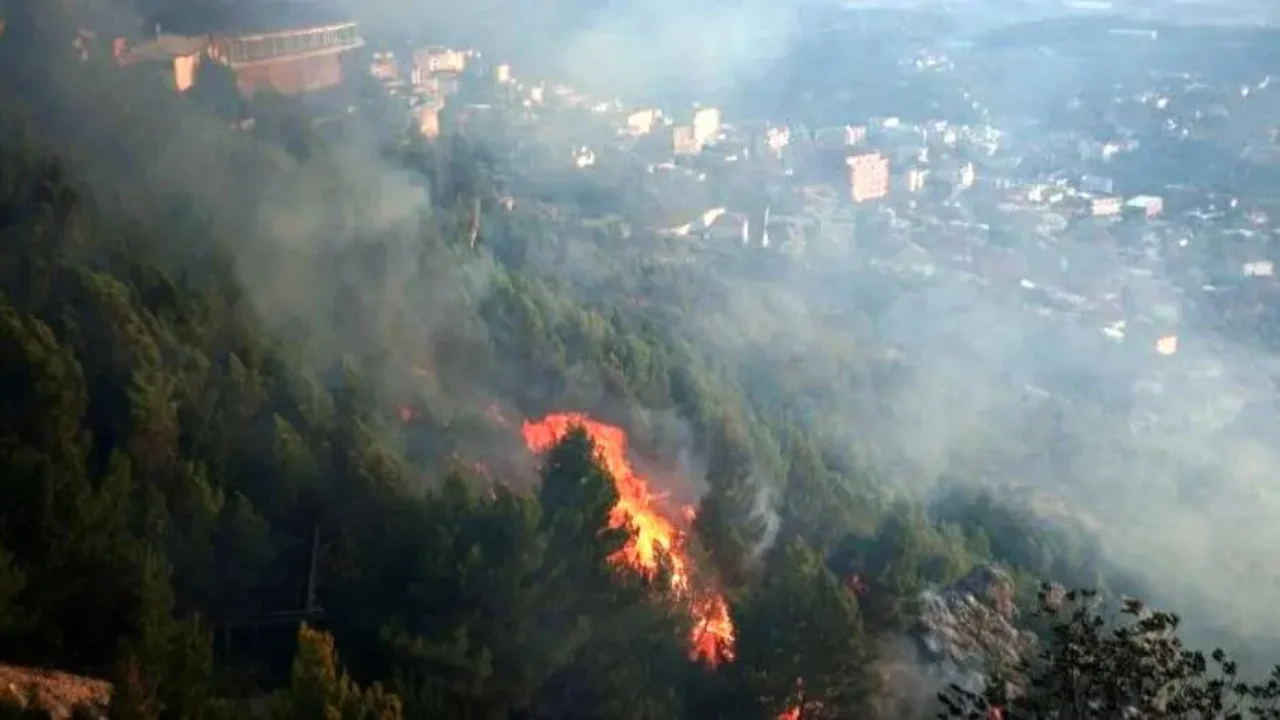 Zbardhet dëshmia të dyshuarit për zjarrin në Krujë, Berhami: Nuk e ndeza unë, dikush ishte aty para meje