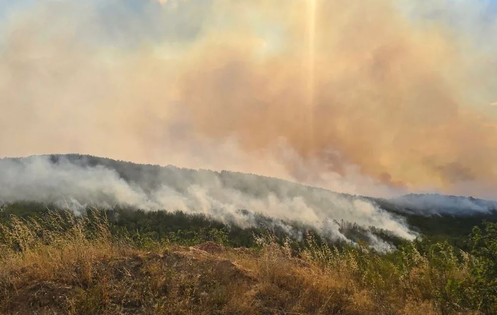 QMK: Nëntë zjarre në ambiente të hapura, pesë janë aktive