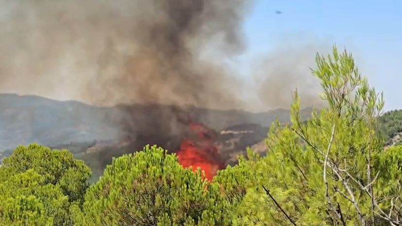 Zjarri në masivin pyjor të Drenies vijon të jetë aktiv, kërkohet ndërhyrje nga ajri