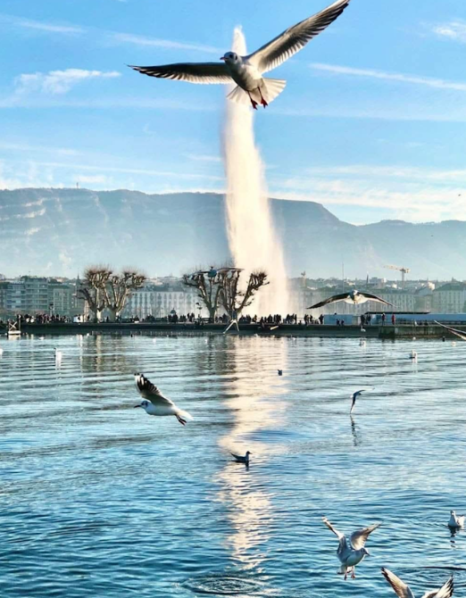 Gjenevë — Tempull i Paqes dhe Humanizmit
