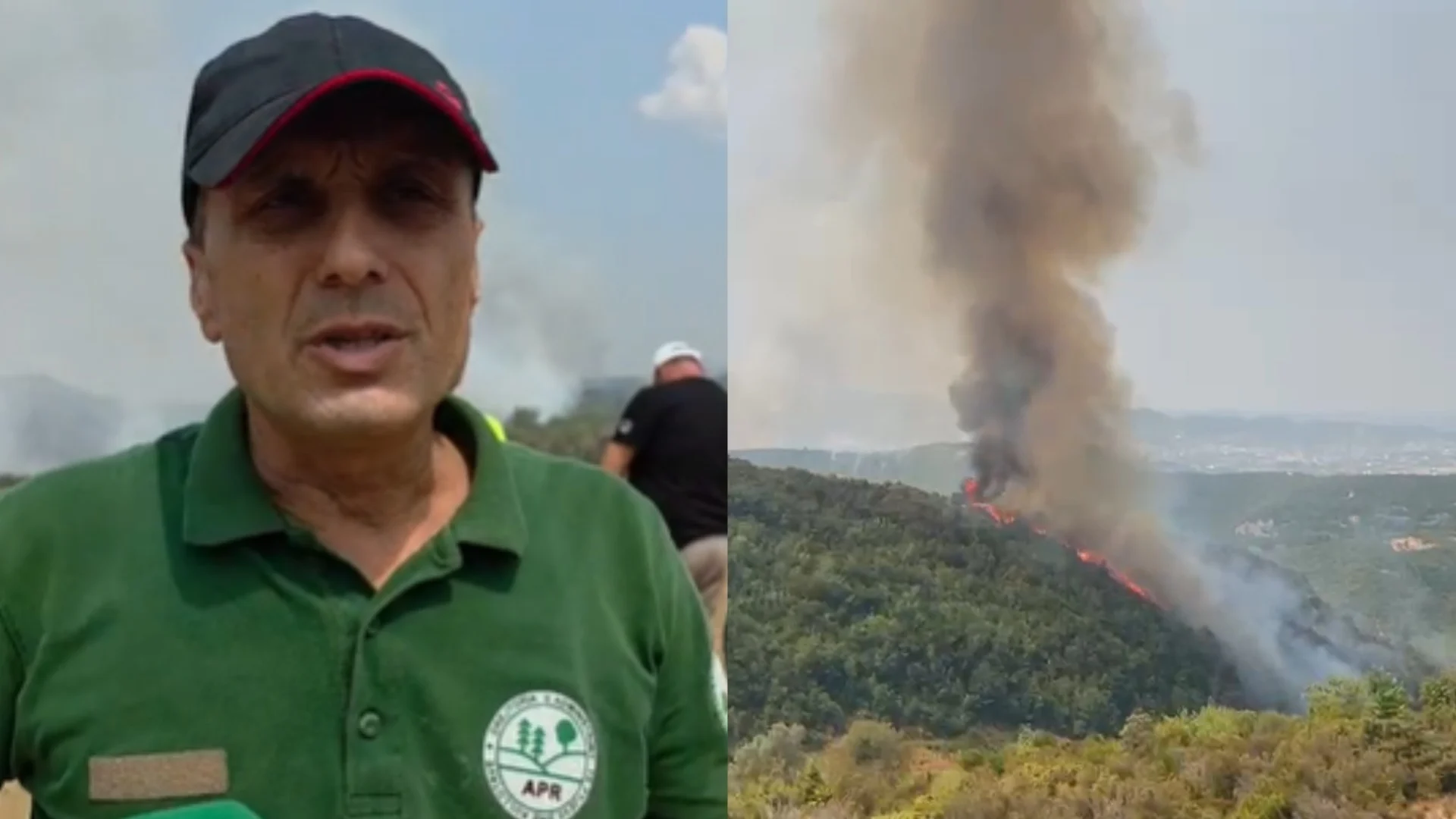 Zjarri në 4 fshatra në juglindje të Tiranës, inspektori i APR: Shumica janë pyje, ka dëme edhe në ullishte e vreshta