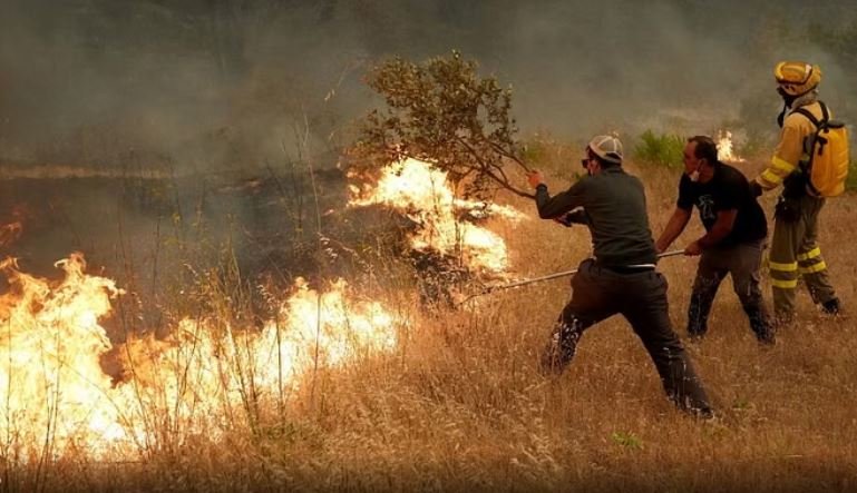  Nga jugu në veri, 11 vatra zjarri vijojnë të jenë aktive, në dispozicion edhe dy avionë “Air Tractor”!