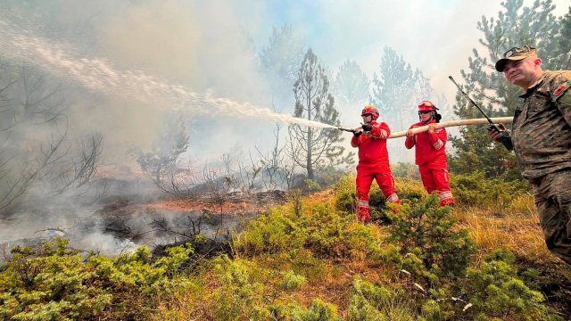 Situata me zjarret në Shqipëri/ Ende 23 vatra aktive, këto janë zonat më problematike, ndërhyrja bëhet nga toka dhe ajri