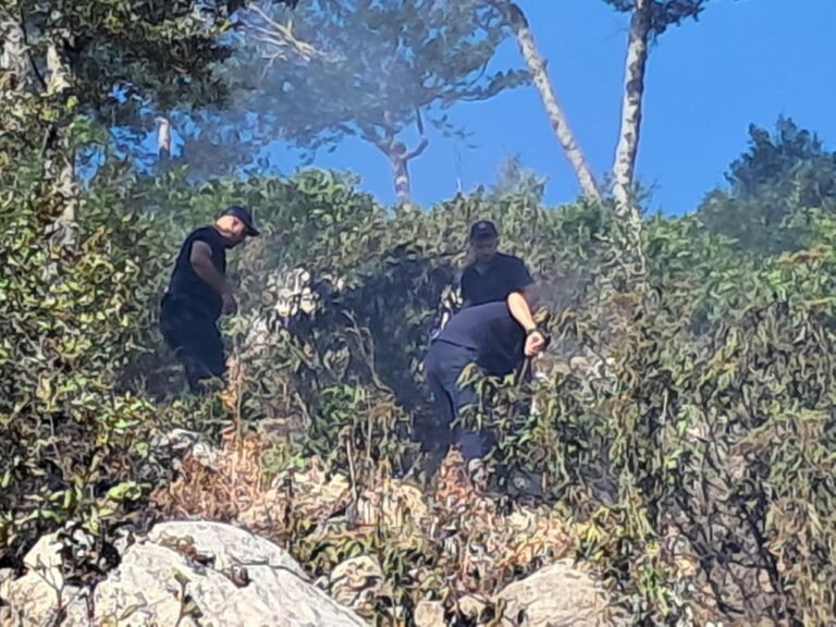 Zjarr në malin e Qukësit në Prrenjas, izolohen katër vatra pas 12 orësh ndërhyrje