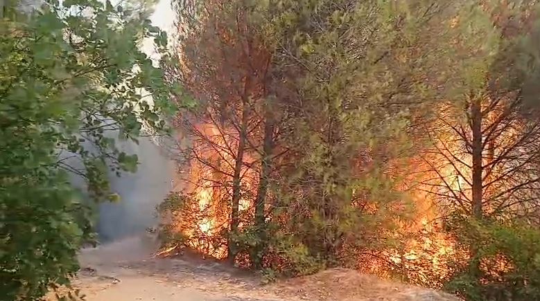 35 vatra zjarri në 24 orë, 8 ende aktive/ Vijojnë operacionet për shuarjen e flakëve në Tiranë, Krujë dhe Dibër