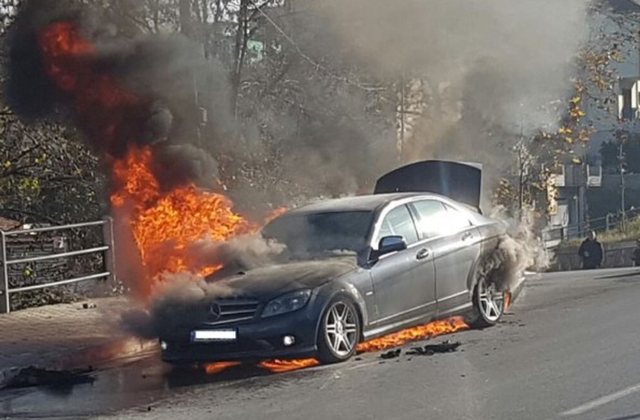 Digjet makina në Qafë-Qarri–Ersekë, flakët përhapen edhe në mbi 4 ha kullota