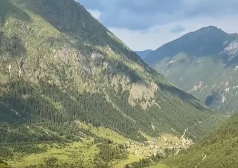 Bjeshkët e Deçanit po zbrazen, lëndinat po mbulohen nga molikat
