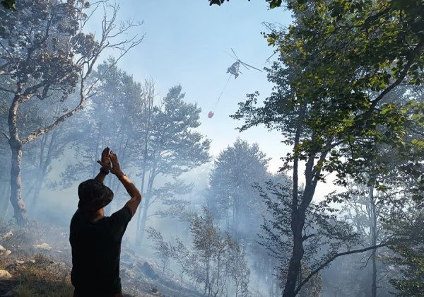 Ndërhyrje nga toka dhe ajri për fikjen e zjarreve, Nufi: S’ka rrezik për banesat në Shqipëri