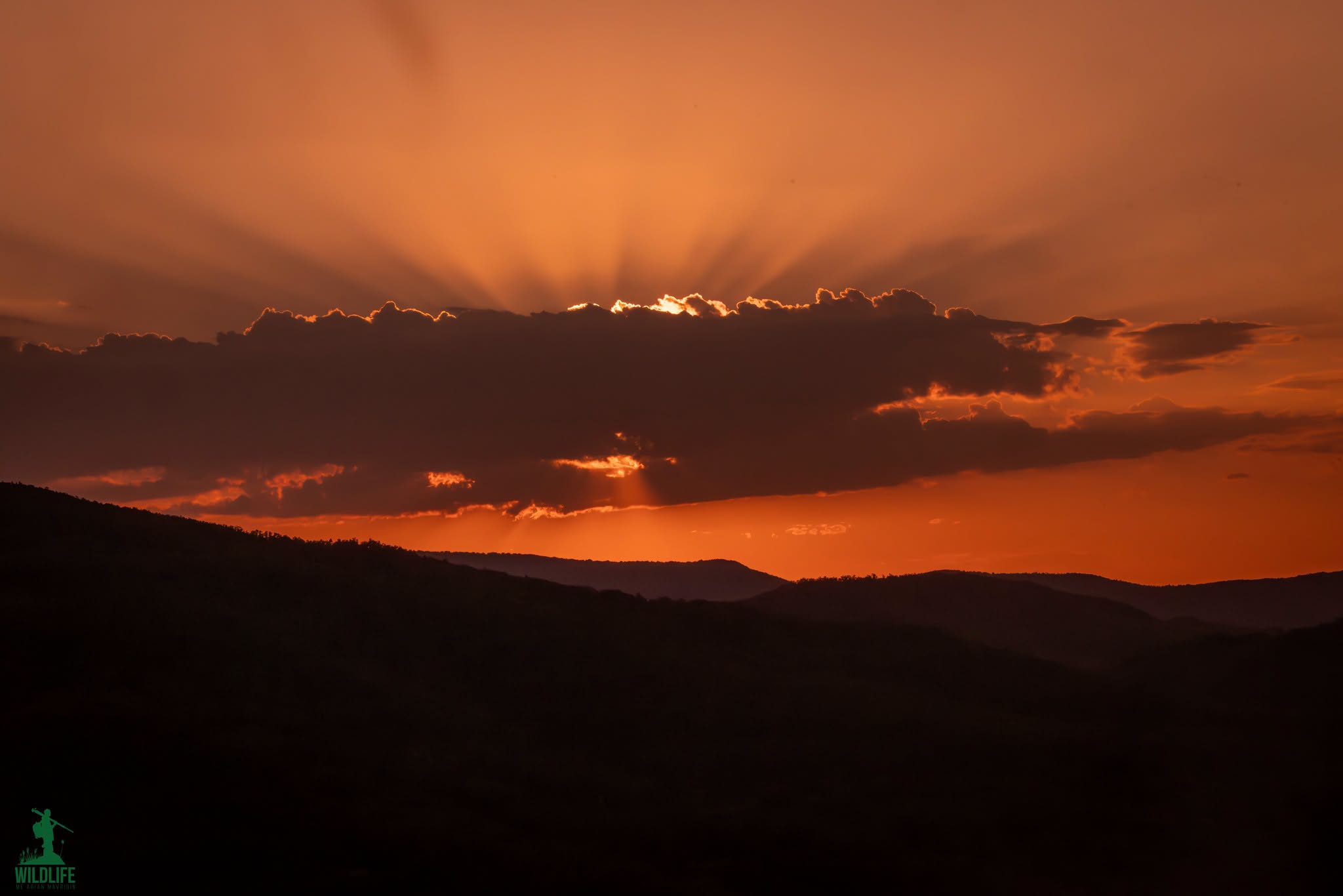 Nj&euml; per&euml;ndim i diellit si ky! / Fotografia: Arian Mavriqi
