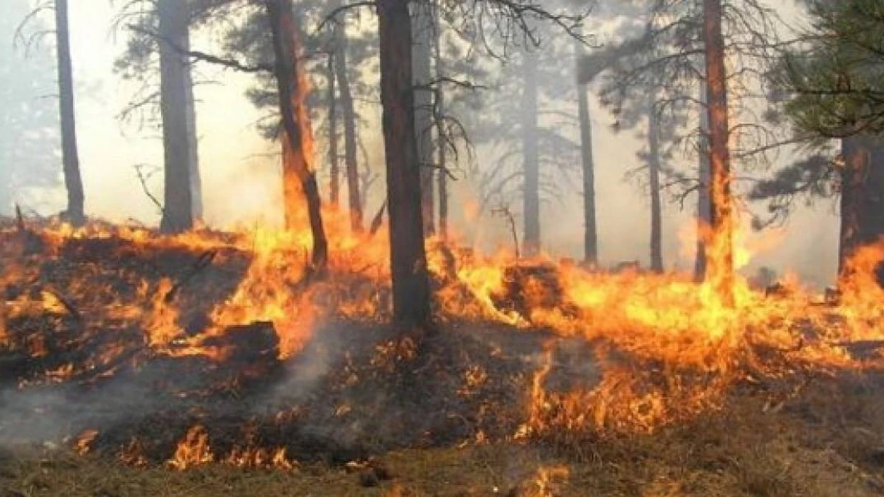 QMK: 37 zjarre në ambiente të hapura në 24 orët e fundit, tre janë aktive
