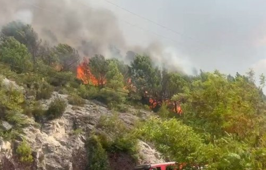 Zjarret në vend/ Ministria e Mbrojtjes bën bilancin: Raportohen 2