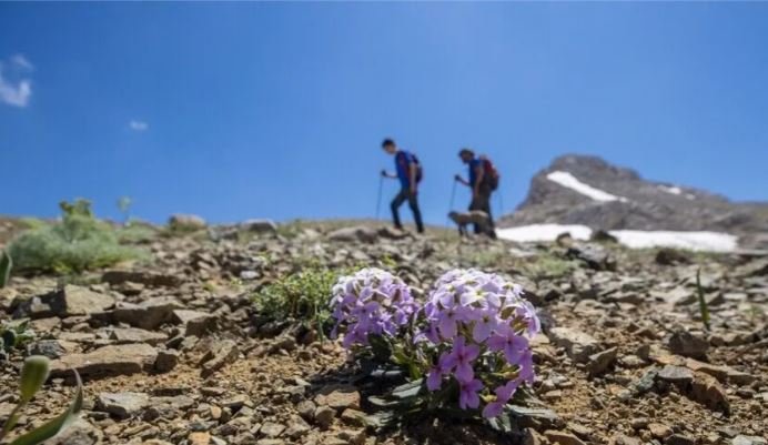 U zhdukën në vitin 1992, gjenden pas më shumë se tre dekadash eshtrat e dy alpinistëve belgë në Alpet Zvicerane
