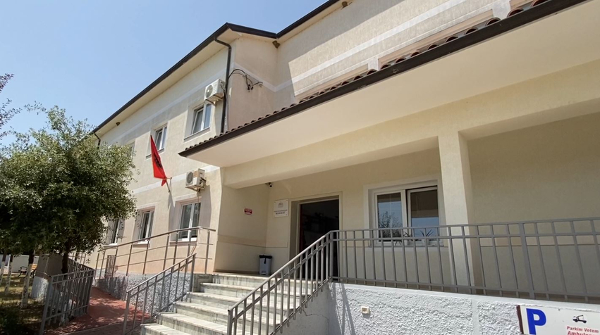 Belsh  sulmet nga bletët e grerëzat shqetësojnë fermerët  7 10 raste çdo ditë  edhe pickime nga gjarpërinjtë