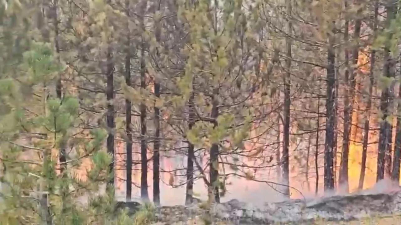Zjarri në zonën Gjegjan-Gojan të Pukës/ Vijon ndërhyrja nga toka dhe ajri, të përfshirë 40 efektivë të Forcave të Armatosura dhe dy helikopterë