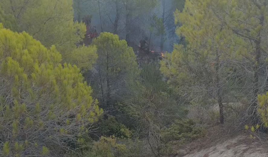 25 vatra zjarri në 24 orë, 4 aktive/ Vijon beteja në Dajt, Priskë, Mirditë dhe Tërbun