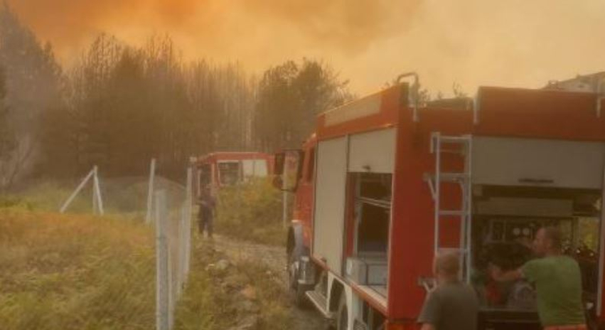 Situatë kritike nga zjarri në Pukë  Evakuim i detyrueshëm i banorëve në fshatin Gojan i Madh