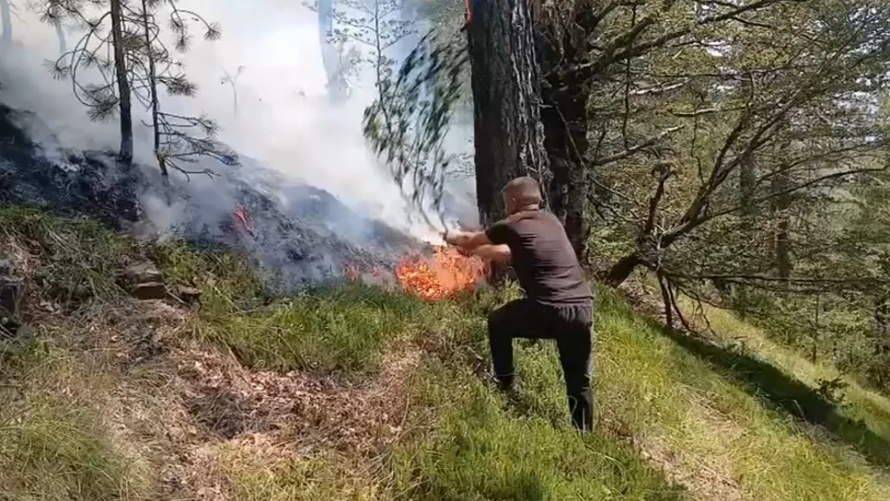 Situata me zjarret në Shqipëri/ 10 vatra gjatë ditës së sotme, 7 prej tyre ende aktive, ja cilat janë zonat më problematike