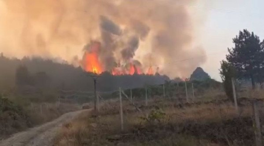 Beteja me zjarret në Shqipëri  tetë vatra aktive  evakuime dhe ndërhyrje masive nga ajri