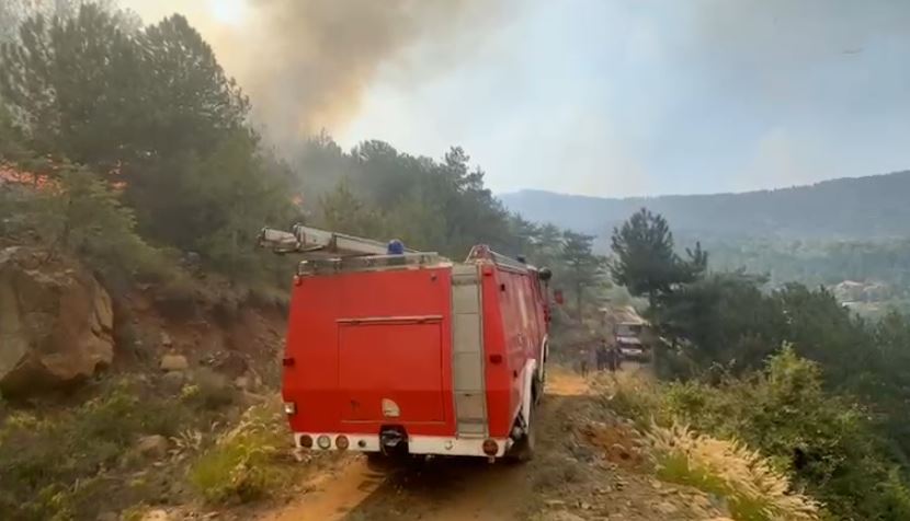  Flakët dalin jashtë kontrollit, evakuohen banorët në Pepaj: Të ndërhyhet nga ajri me urgjencë!
