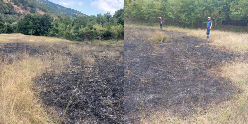 Zjarr i përmasave të mëdha në Hotolisht djeg 2 hektarë tokë bujqësore  vihen nën kontroll flakët