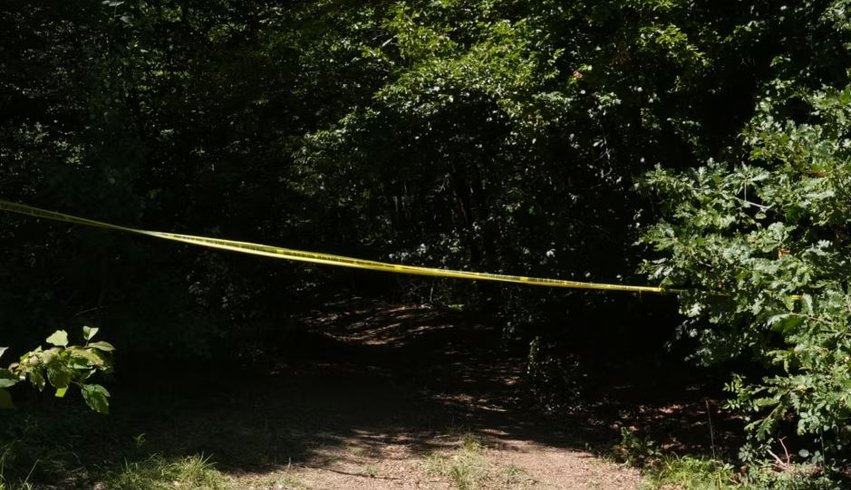 Varrezat masive  analisti  Nuk duhet të lejohen më lojëra me ndjenjat e shqiptarëve