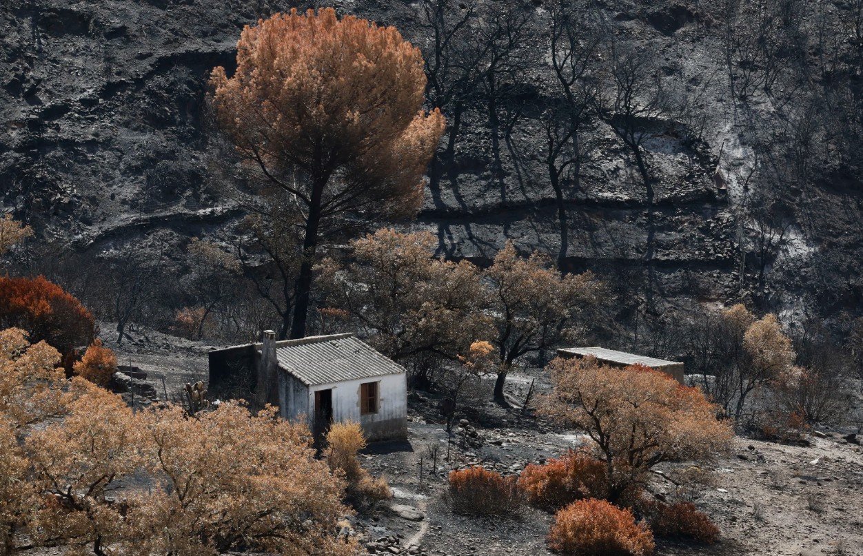 Vegjetacion i djegur n&euml; Sierra de Berrocal. Fshati Berrocal &euml;sht&euml; shkat&euml;rruar nga nj&euml; zjarr q&euml; u shua pasi dogji 33 000...