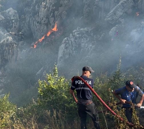 Tre javë nën pushtetin e zjarreve, 8 hektarë pyje të dëmtuara në Malin e Dardhës të Librazhdit, vijon beteja me flakët