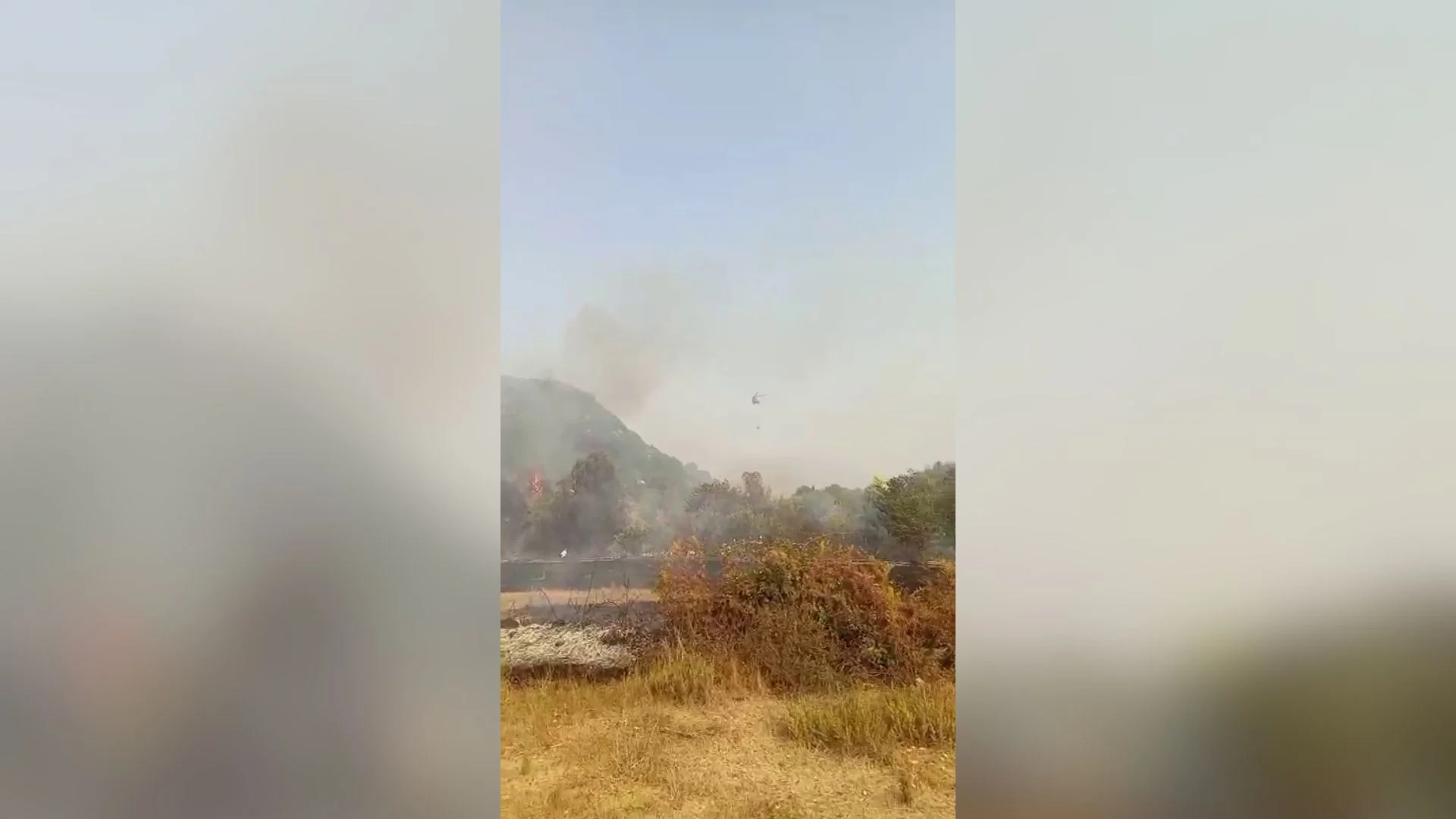Zjarri në Vranisht të Vlorës, përfshihet nga flakët një banesë, digjen dhe disa hektarë sipërfaqe pyjore