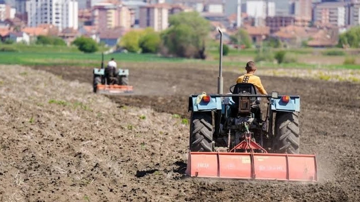 ​Rritje e vlerës së prodhimeve bimore dhe blegtorale në Kosovë