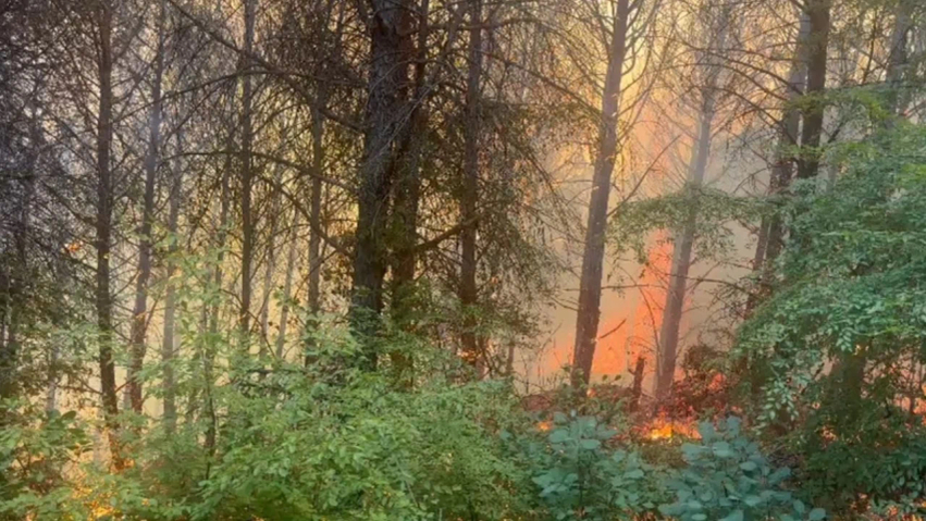 Situata me zjarret në vend/ 7 vatra mbeten aktive, flakët përfshijnë
