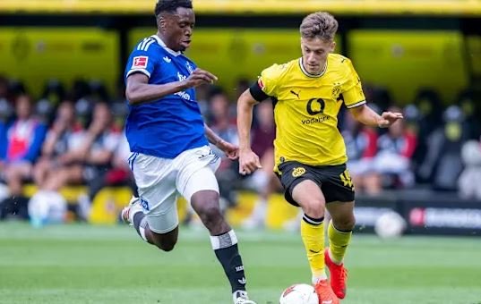 Dortmundi triumfon ndaj Hamburger SV
