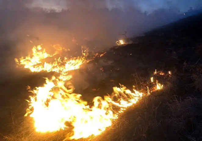 Zjarr në Preoc të Graçanicës, zjarrfikësit me vështirësi në intervenim