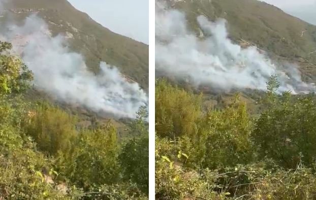 Zjarr në malësinë e Krujës, flakët përhapen me shpejtësi! Kërkohet ndërhyrja nga ajri