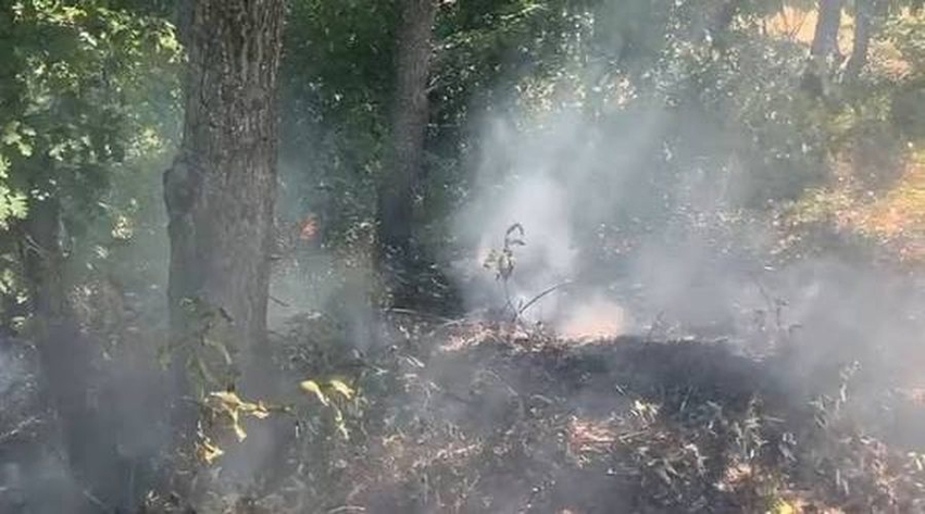 Del situata jashtë kontrollit nga zjarri në Lundër të Matit