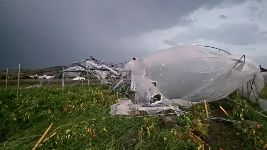 Erërat e forta i dëmtojnë të mbjellat dhe serën banorit në Skifteraj
