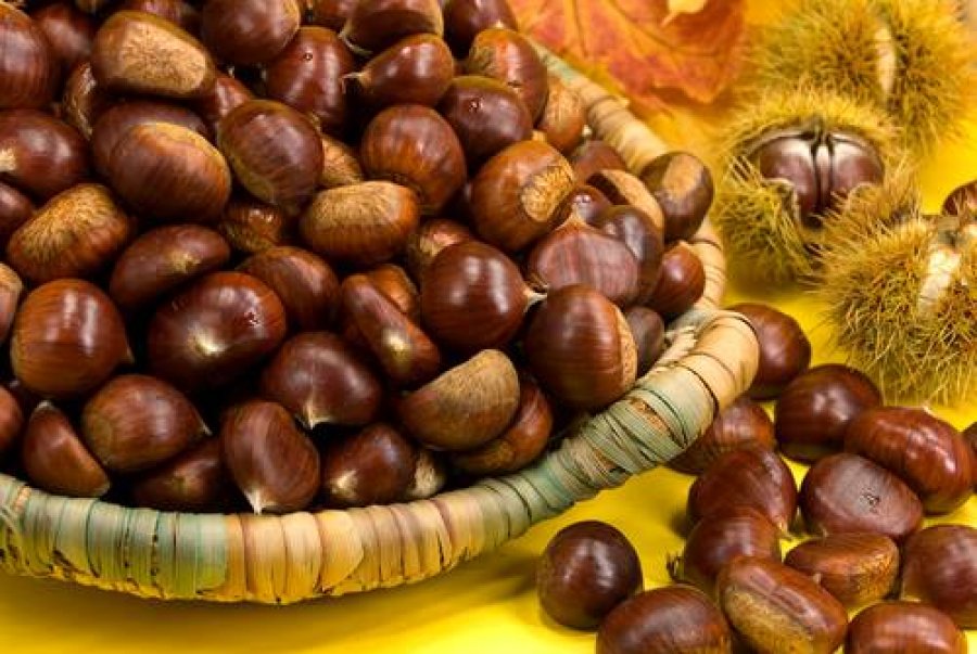Përveç se janë të shijshme, cilat janë përfitimet shëndetësore që sjellin gështenjat?