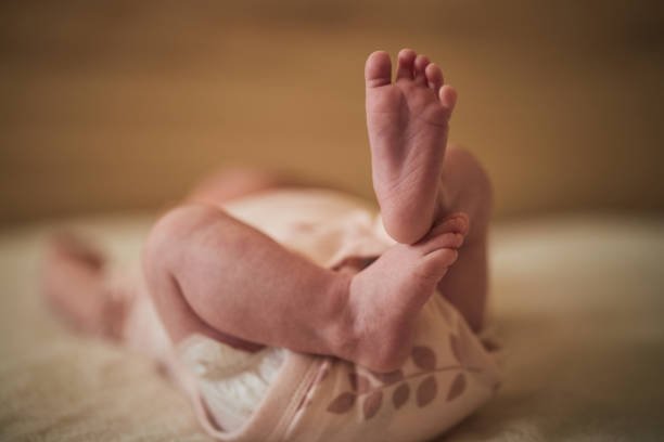 Rreth 900 lindje më shumë në 2025-ën