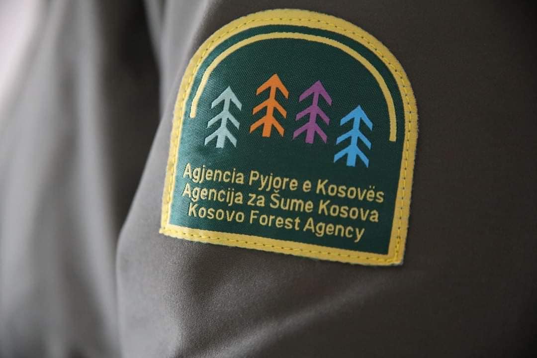 U sulmuan në vendin e punës, reagon Sindikata e Pavarur e Pylltarisë