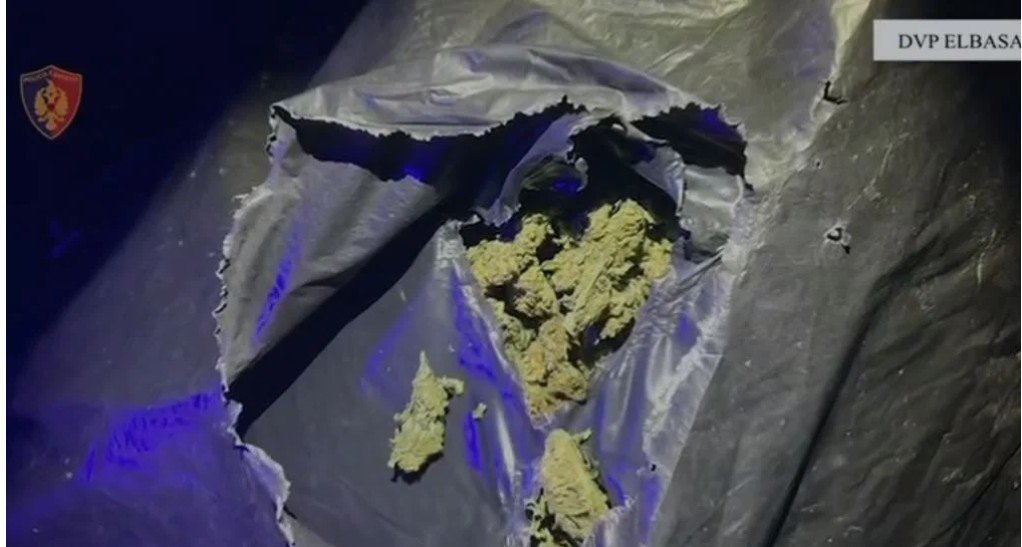 Operacioni Jug-Veri/ Goditet grupi i trafikut të drogës, 4 në pranga, sekuestrohen armë dhe 41 kg kanabis sativa