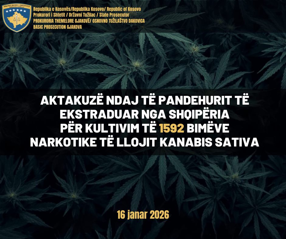 Prokuroria Themelore në Gjakovë ngrit aktakuzë për kultivim të kanabisit ndaj shtetasit të Shqipërisë 